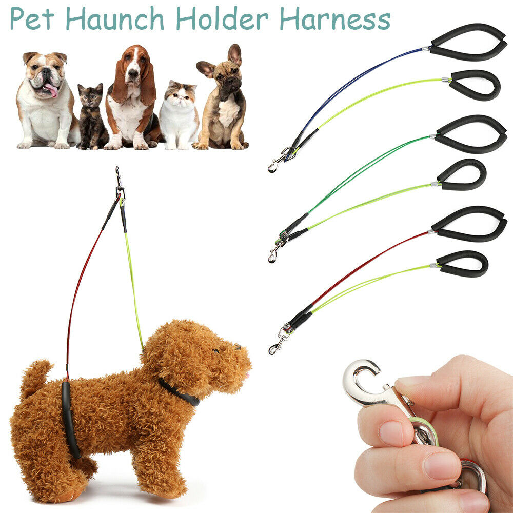 Pet Dog Harness No-sit Pet Haunch Holder Grooming Restraint Harness Leash Loop
