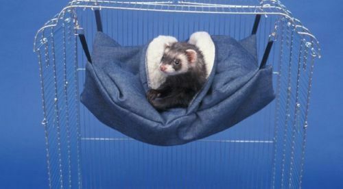 Sheppard And Greene Cozy Ferret Rat Cage Sleeping Bed Hammock Sleep Sack